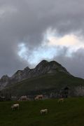Gamsspitzl von seekar obertauern 31107 2016-08-04.jpg