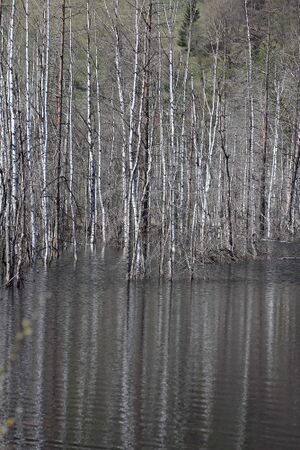 Mandlinger moor 69694 2018-04-18.jpg