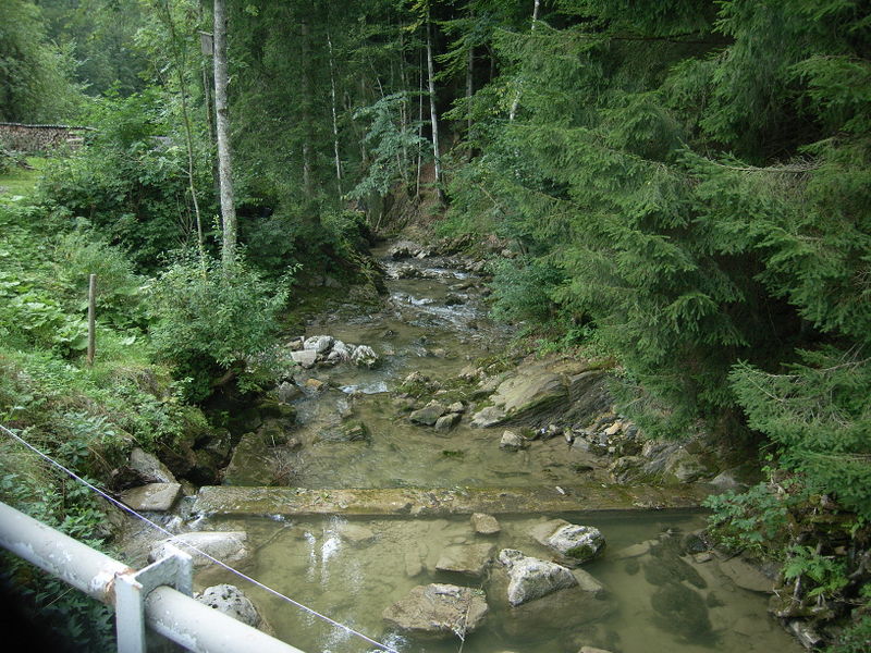 Datei:Wildbachbett d. Fischbachs 065.jpg