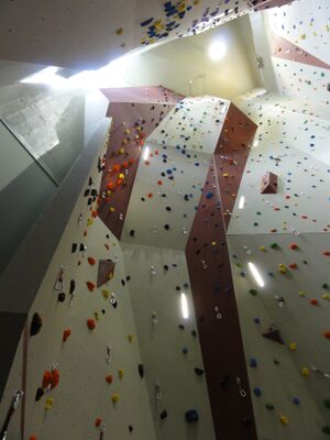 Kletterturm im Schulzentrum Thalgau.jpg