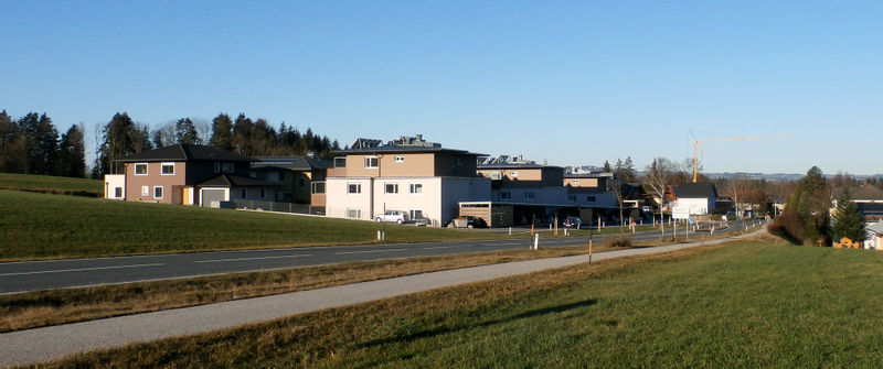 Datei:Ahornsiedlung.jpg