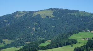 Ochsenberg, Westansicht von der Krispler Landesstraße.jpg