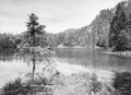 Eibensee Risch-Lau.jpg