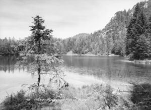Eibensee Risch-Lau.jpg