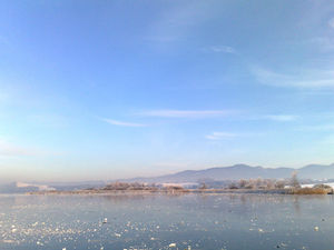 Eisdecke am Wallersee.jpg