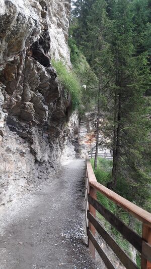 Gasteiner Höhenweg 20210709 11.jpg