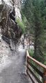 Gasteiner Höhenweg 20210709 11.jpg