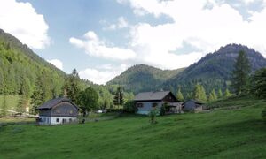 Schwarzeneckalm in Strobl.JPG
