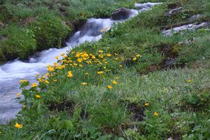 Oberhüttenbach 26432 2016-06-23.jpg