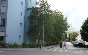 Regensburgstraße.jpg