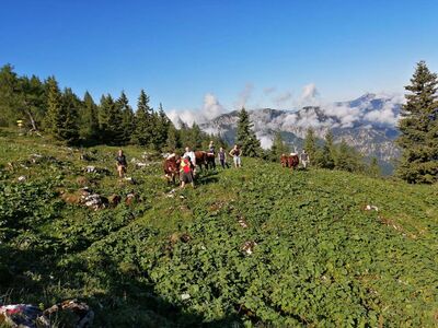 Vierkaseralm Almauftrieb 2021 05.jpg