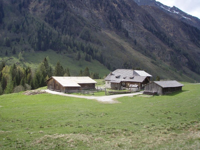 Datei:Almwirtschaft im Hüttwinkltal.jpg