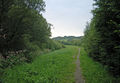 Breitwies Wanderweg A.jpg