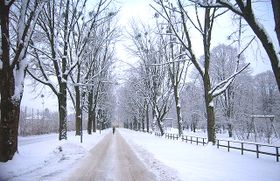 Frohnburgweg.jpg