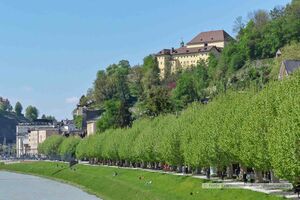Giselakai Platanenallee Kapuzinerkloster Salzburg 01 Mai 2019 1.jpg