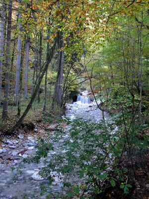 Klausbachverlauf in der Klamm.jpg
