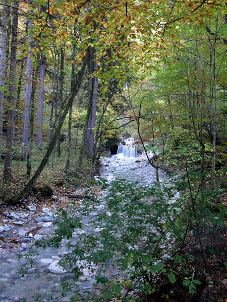 Datei:Klausbachverlauf in der Klamm.jpg