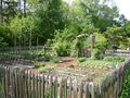 P1000782 kräutergarten.jpg