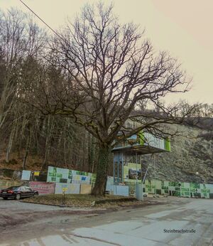 Steinbruchstraße 2012.jpg
