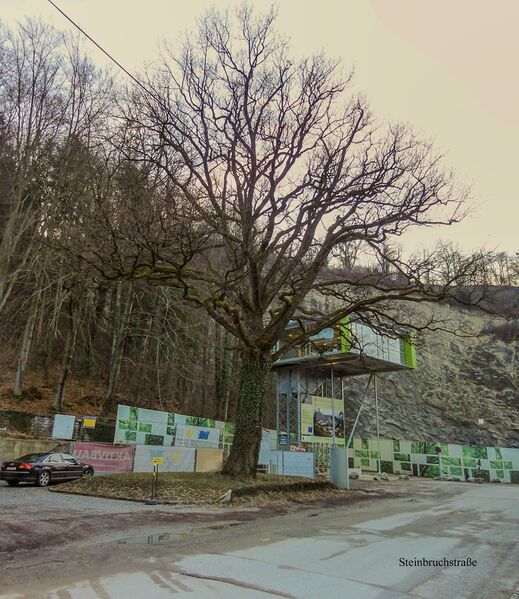Datei:Steinbruchstraße 2012.jpg