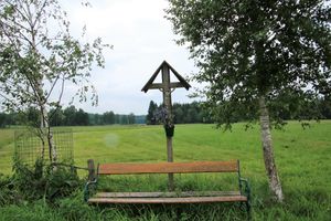 Wegkreuz Maxdorf-Holzhausen (8).JPG