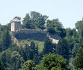 Weinbau am Kapuzinerberg.jpg