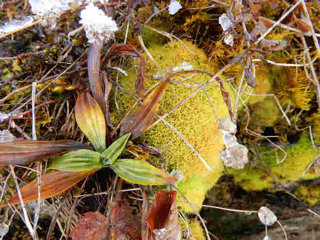 Winter einmal anders