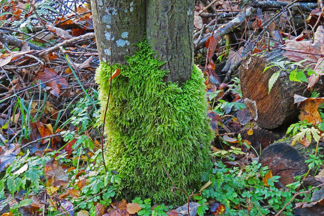 Winterstiefel für warme Füße