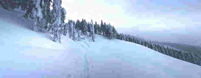 Winterliche Spur