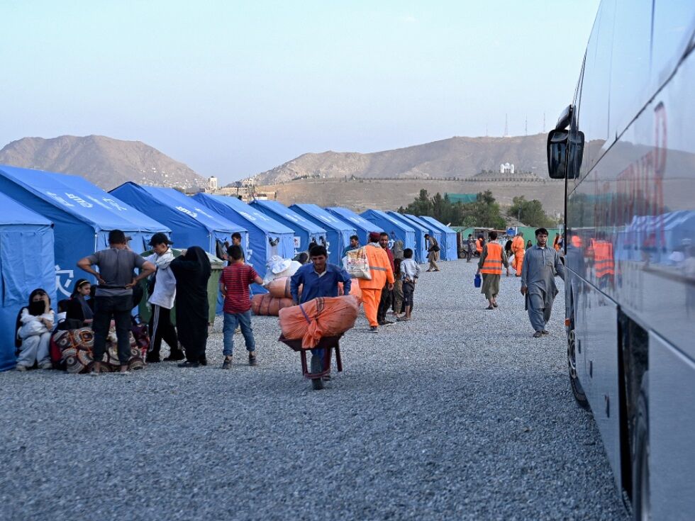 Zahl der Asylanträge in der EU weiter gesunken