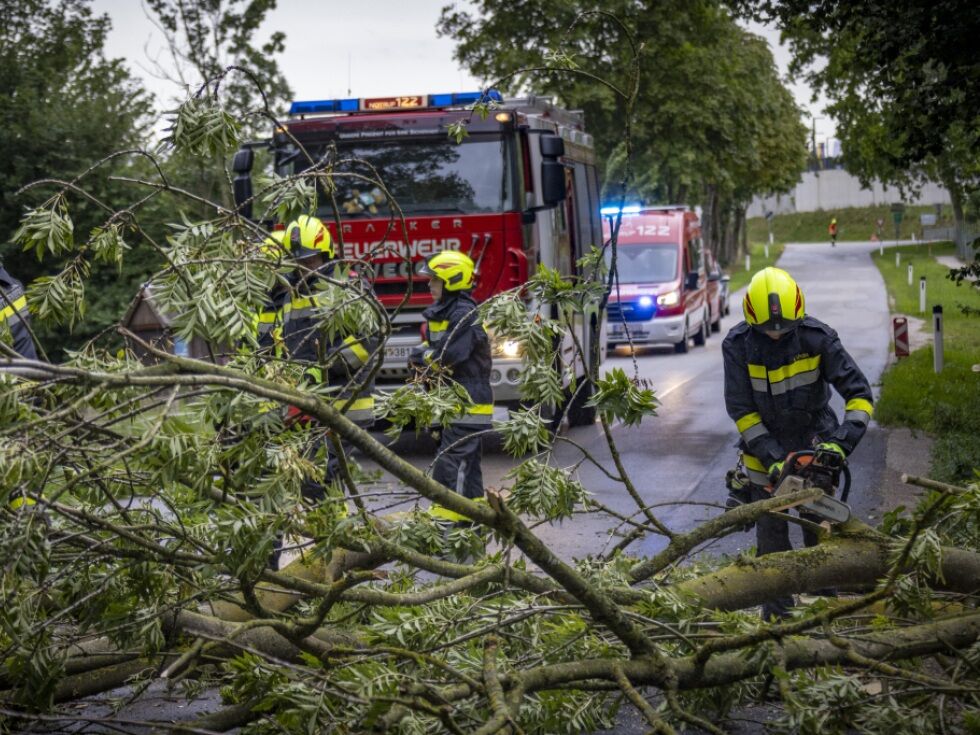 Unwetter im Bezirk Horn: Feuerwehr zu rund 140 Einsätzen alarmiert