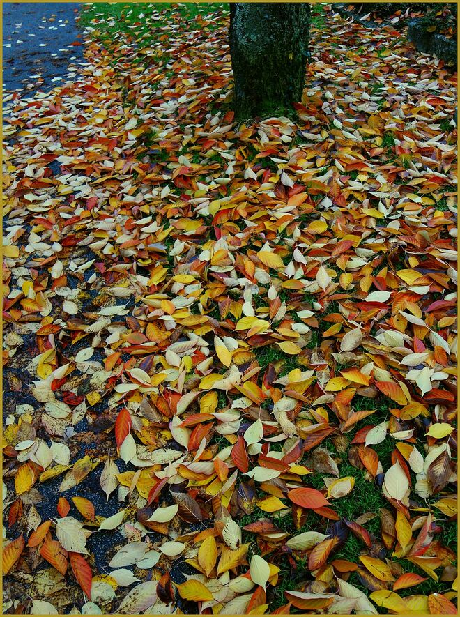 .... eine leichte Decke .....