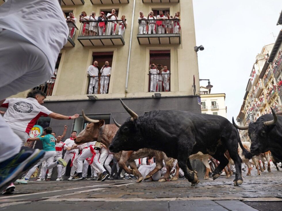Zuschauer kommt bei Stierlauf in Südfrankreich ums Leben